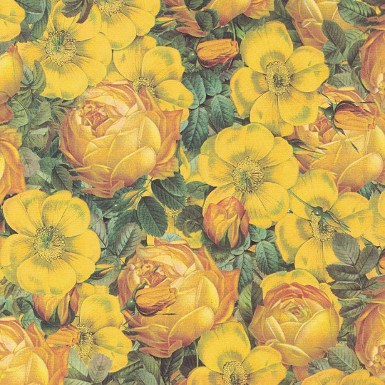 Yellow Roses Italian Paper ~ Tassotti
